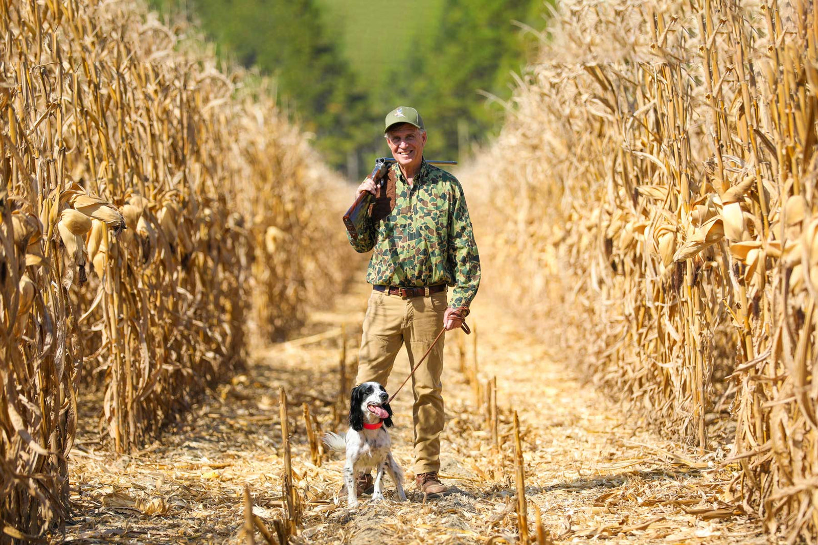 The Ultimate Guide to Selecting the Best Dove Hunting Equipment: Shotguns & Ammo Explained