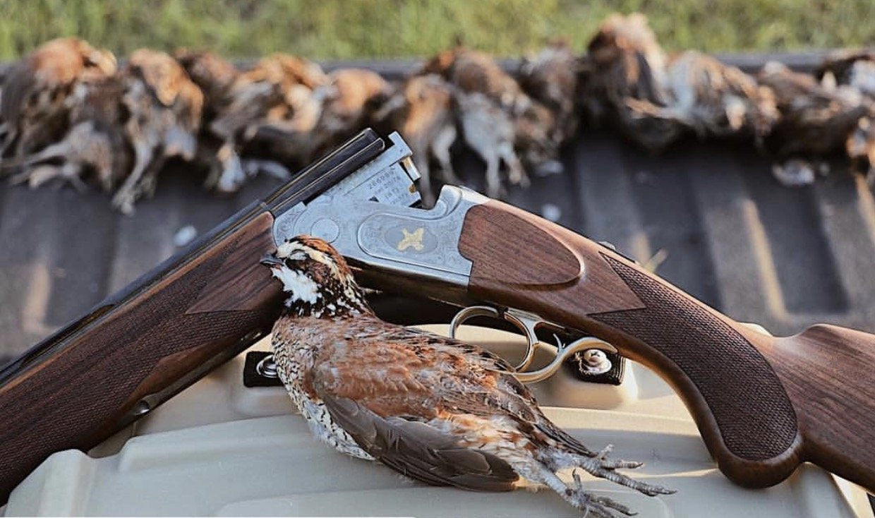 Kevin's Golden Quail Shotgun-Kevin's Fine Outdoor Gear & Apparel