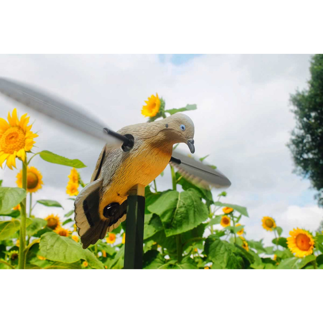 Mojo Voodoo Dove-Hunting/Outdoors-Kevin's Fine Outdoor Gear & Apparel