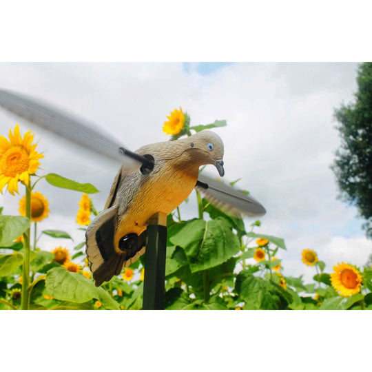 Mojo Voodoo Dove-Hunting/Outdoors-Kevin's Fine Outdoor Gear & Apparel