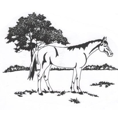 Kevin's Crystal White Wine Glass 11 oz.-Home/Giftware-HORSE-Kevin's Fine Outdoor Gear & Apparel
