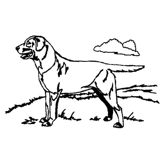 Kevin's Crystal White Wine Glass 11 oz.-Home/Giftware-BLACK LAB-Kevin's Fine Outdoor Gear & Apparel