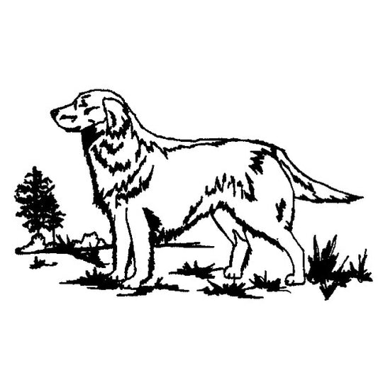 Kevin's Crystal White Wine Glass 11 oz.-Home/Giftware-GOLDENRETRIEVER-Kevin's Fine Outdoor Gear & Apparel