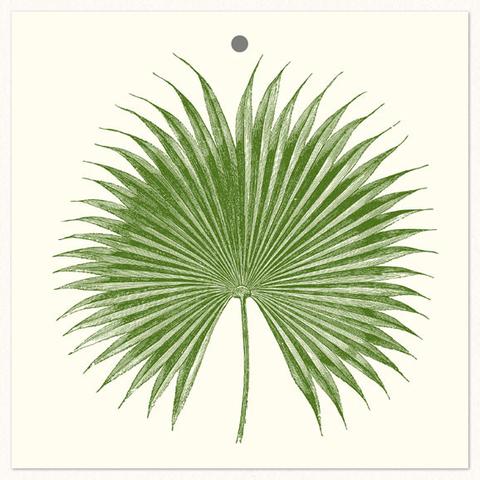 Alexa Pulitzer Gift Tags/Cards-Home/Giftware-PALM-Kevin's Fine Outdoor Gear & Apparel