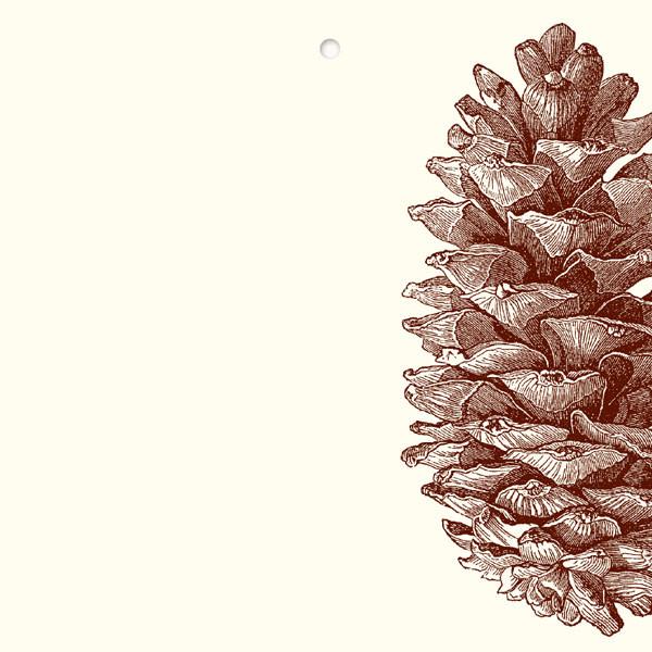 Alexa Pulitzer Gift Tags/Cards-Home/Giftware-PINECONE-Kevin's Fine Outdoor Gear & Apparel