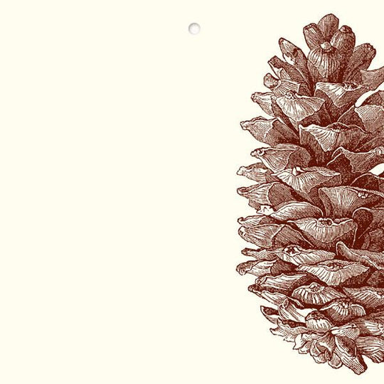 Alexa Pulitzer Gift Tags/Cards-Home/Giftware-PINECONE-Kevin's Fine Outdoor Gear & Apparel