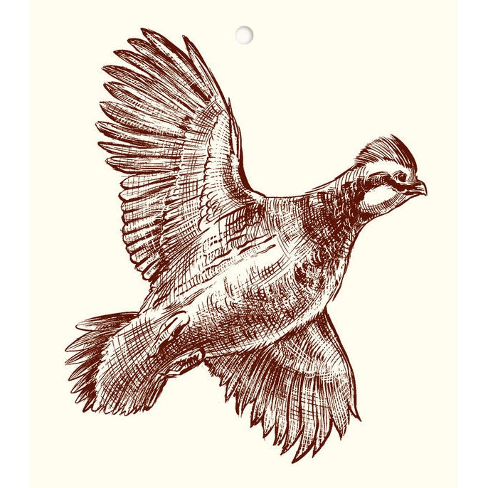 Alexa Pulitzer Gift Tags/Cards-HOME/GIFTWARE-QUAIL-Kevin's Fine Outdoor Gear & Apparel