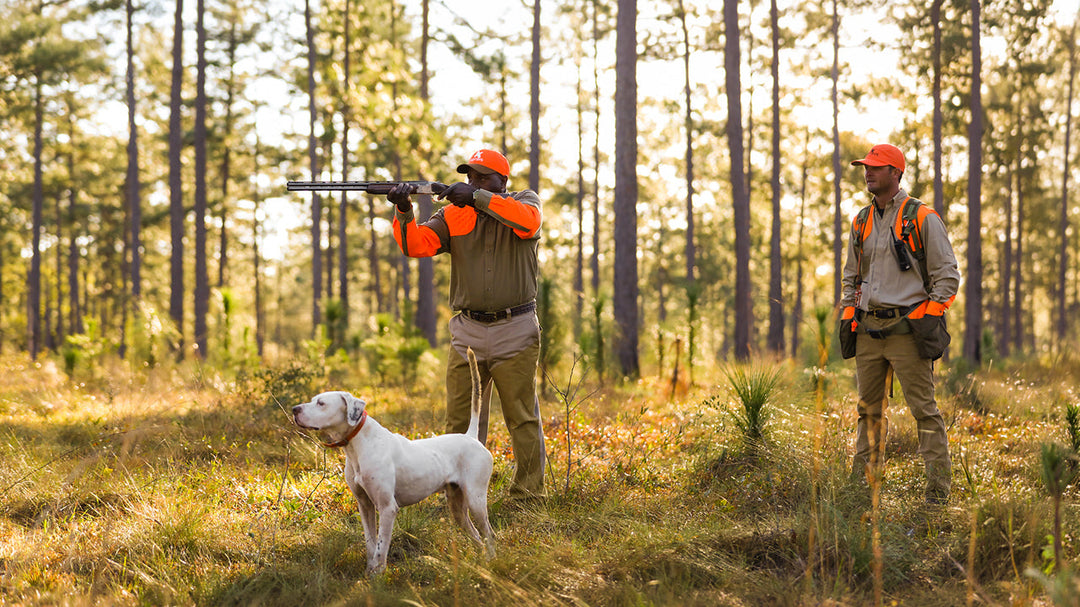 Brush Pants vs. Chaps for Upland Hunting: How to Choose the Right Leg Protection