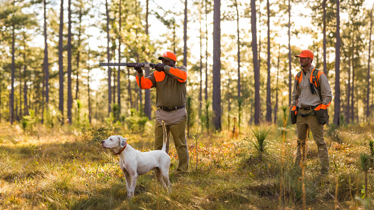 Brush Pants vs. Chaps for Upland Hunting: How to Choose the Right Leg Protection