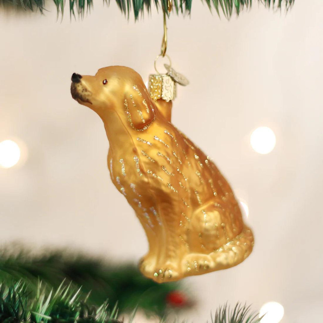 Sitting Golden Ornament-Home/Giftware-Kevin's Fine Outdoor Gear & Apparel