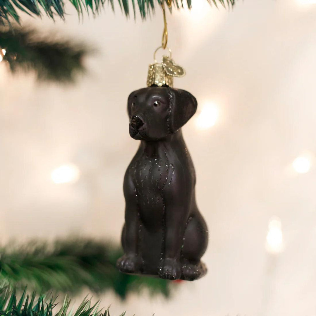 Black Labrador Ornament-Home/Giftware-Kevin's Fine Outdoor Gear & Apparel