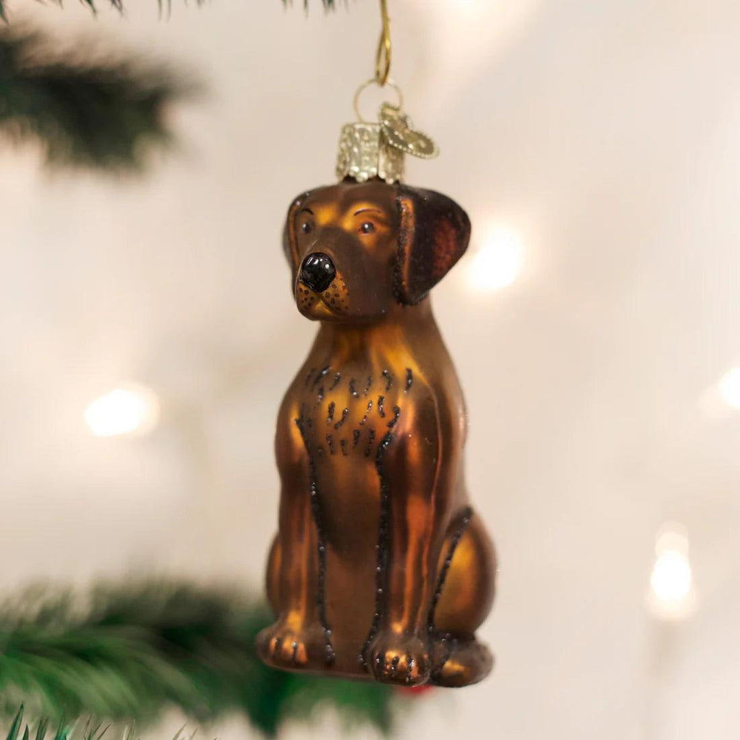 Chocolate Labrador Ornament-Home/Giftware-Kevin's Fine Outdoor Gear & Apparel