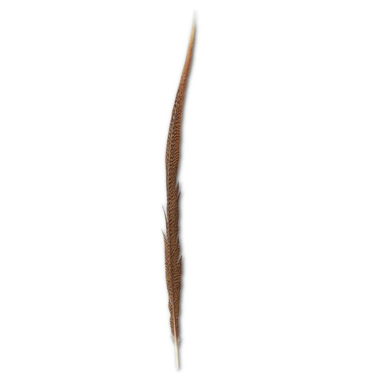 Golden Tail Feather-Home/Giftware-Kevin's Fine Outdoor Gear & Apparel