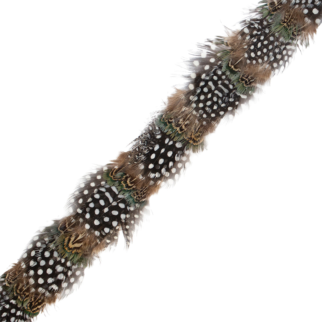 Kevin's Feather Hat Bands-Men's Accessories-Guinea Pheasant Mix-Kevin's Fine Outdoor Gear & Apparel