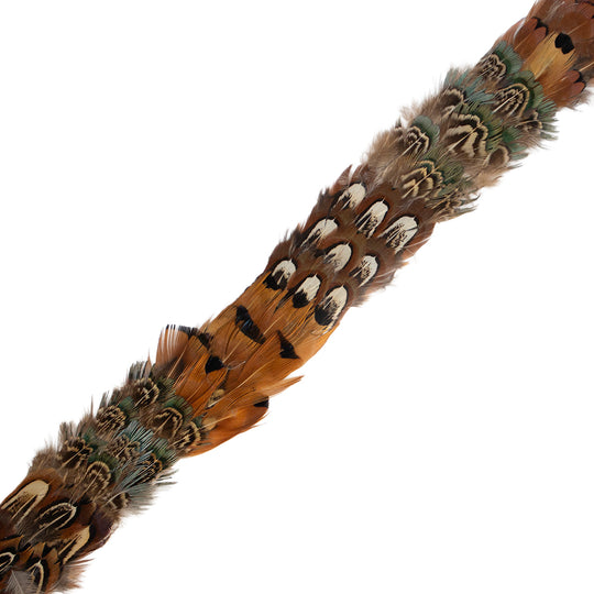 Kevin's Feather Hat Bands-Men's Accessories-Multi Pheasant Brown-Kevin's Fine Outdoor Gear & Apparel