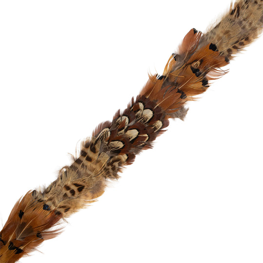 Kevin's Feather Hat Bands-Men's Accessories-Tri Pheasant Brown-Kevin's Fine Outdoor Gear & Apparel