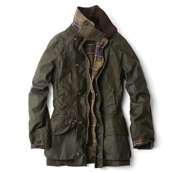 14-5192_Olive_grande.jpg?v=
