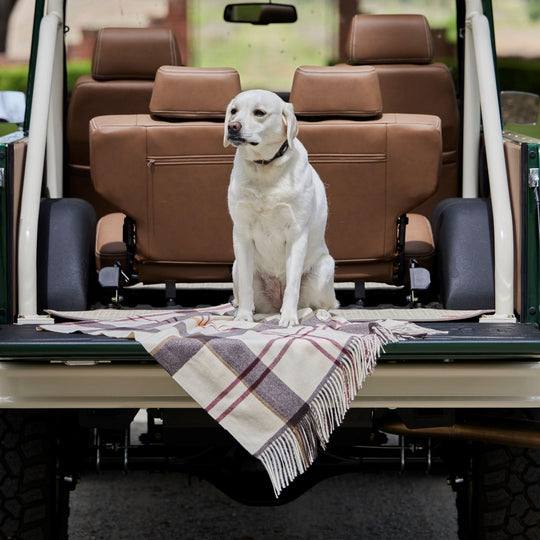 Barbour Harriet Tartan Scarf-Women's Accessories-Kevin's Fine Outdoor Gear & Apparel