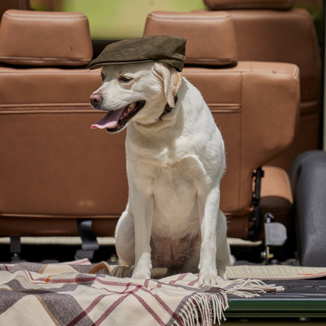 Barbour Dog Wax Flat Cap-Men's Accessories-Olive-S/M-Kevin's Fine Outdoor Gear & Apparel