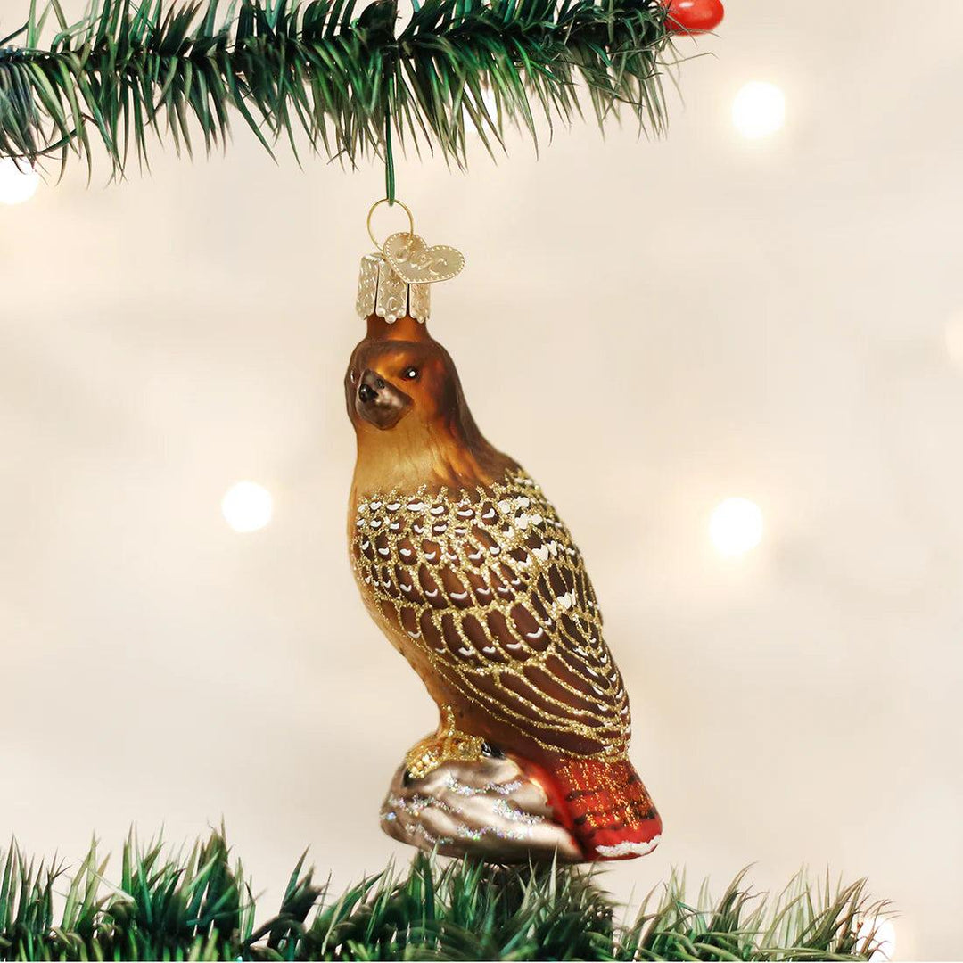 Red-Tailed Hawk Ornament-Home/Giftware-Kevin's Fine Outdoor Gear & Apparel