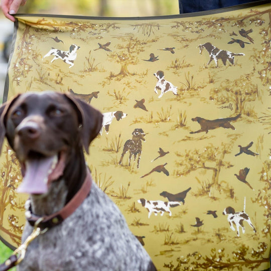 Bird Dog Silk Scarf-Women's Accessories-Kevin's Fine Outdoor Gear & Apparel