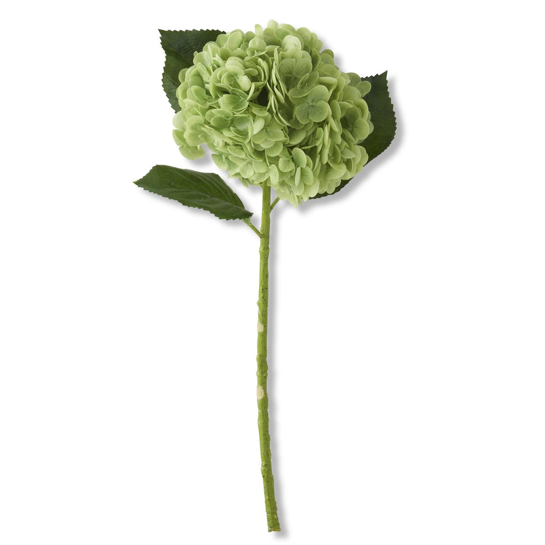 20" Hydrangea Stem-Home/Giftware-Green-Kevin's Fine Outdoor Gear & Apparel