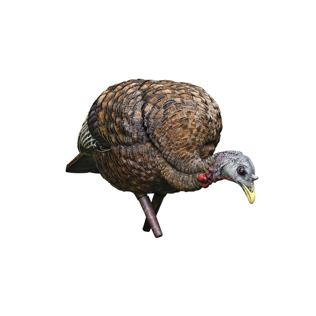 Avian X LCD Feeder Hen Decoy-Hunting/Outdoors-Kevin's Fine Outdoor Gear & Apparel