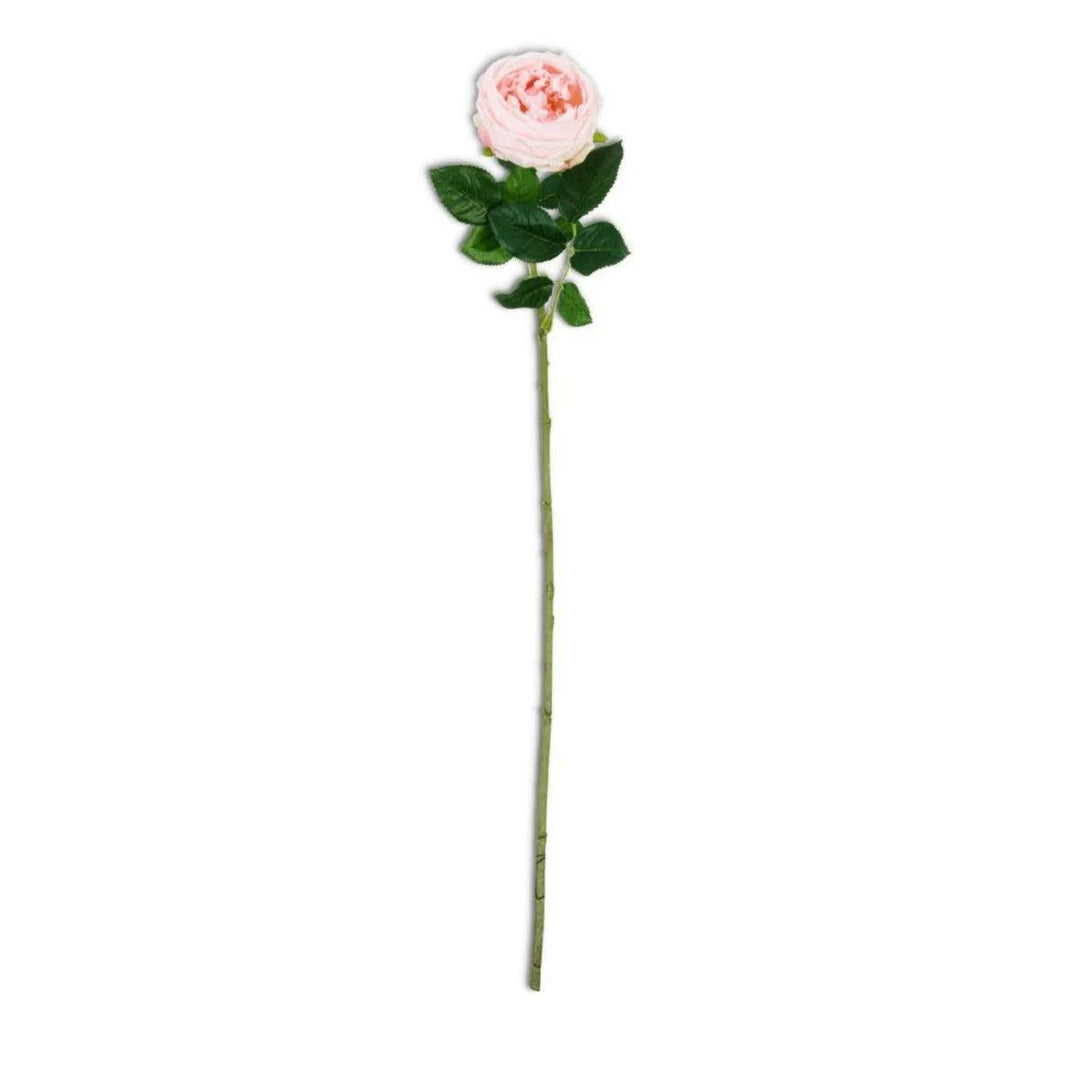 24" Real Touch Austin Rose Stem-Home/Giftware-Pink-Kevin's Fine Outdoor Gear & Apparel