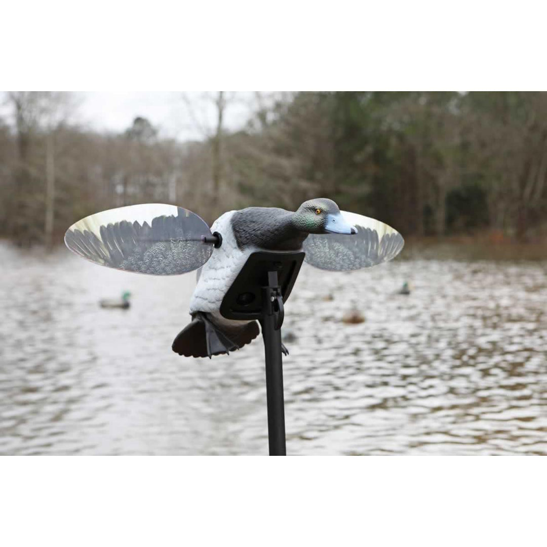 MOJO Elite Series Diver Bluebill Decoy