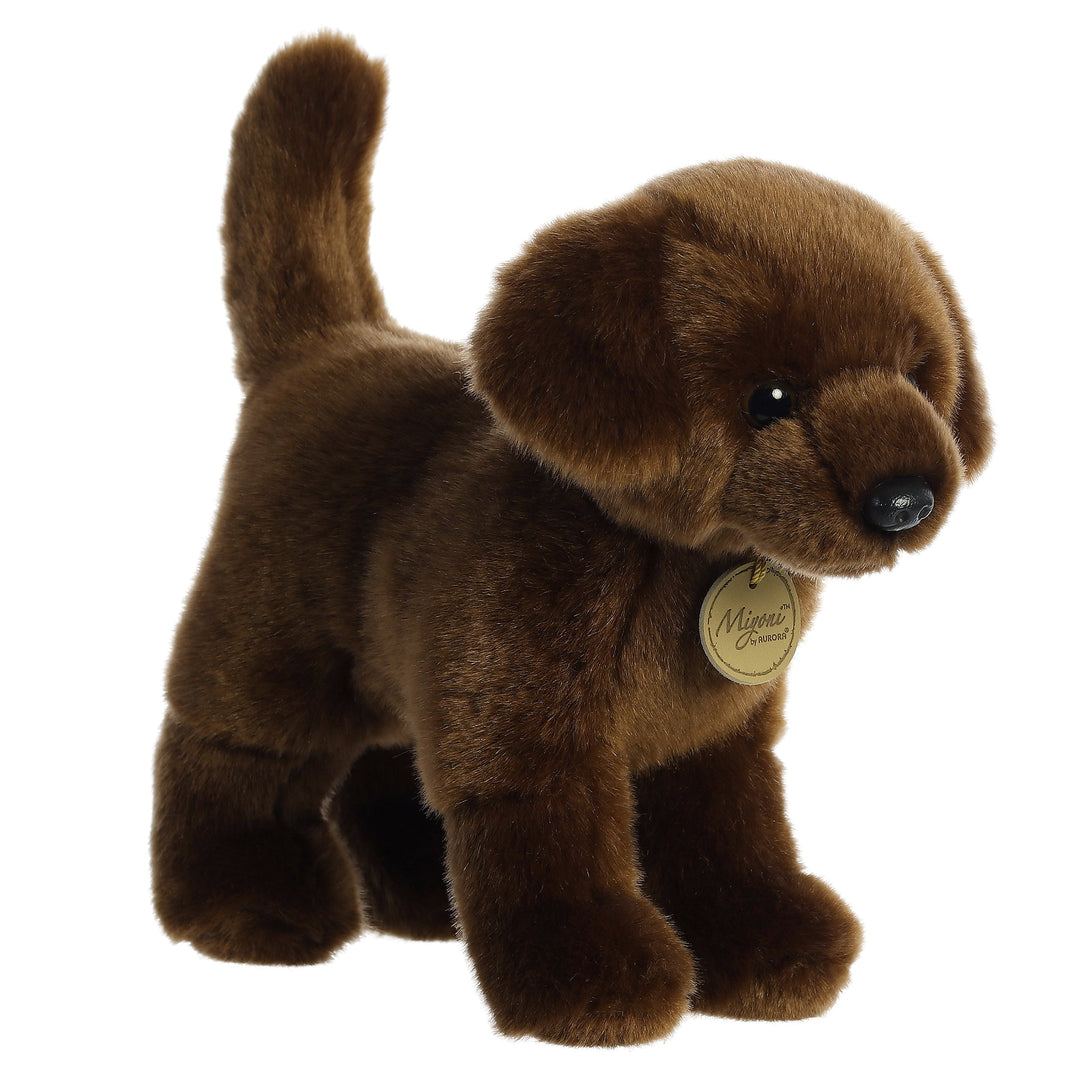Aurora Miyoni 10" Toy-Home/Giftware-CHOCOLATE LAB-Kevin's Fine Outdoor Gear & Apparel