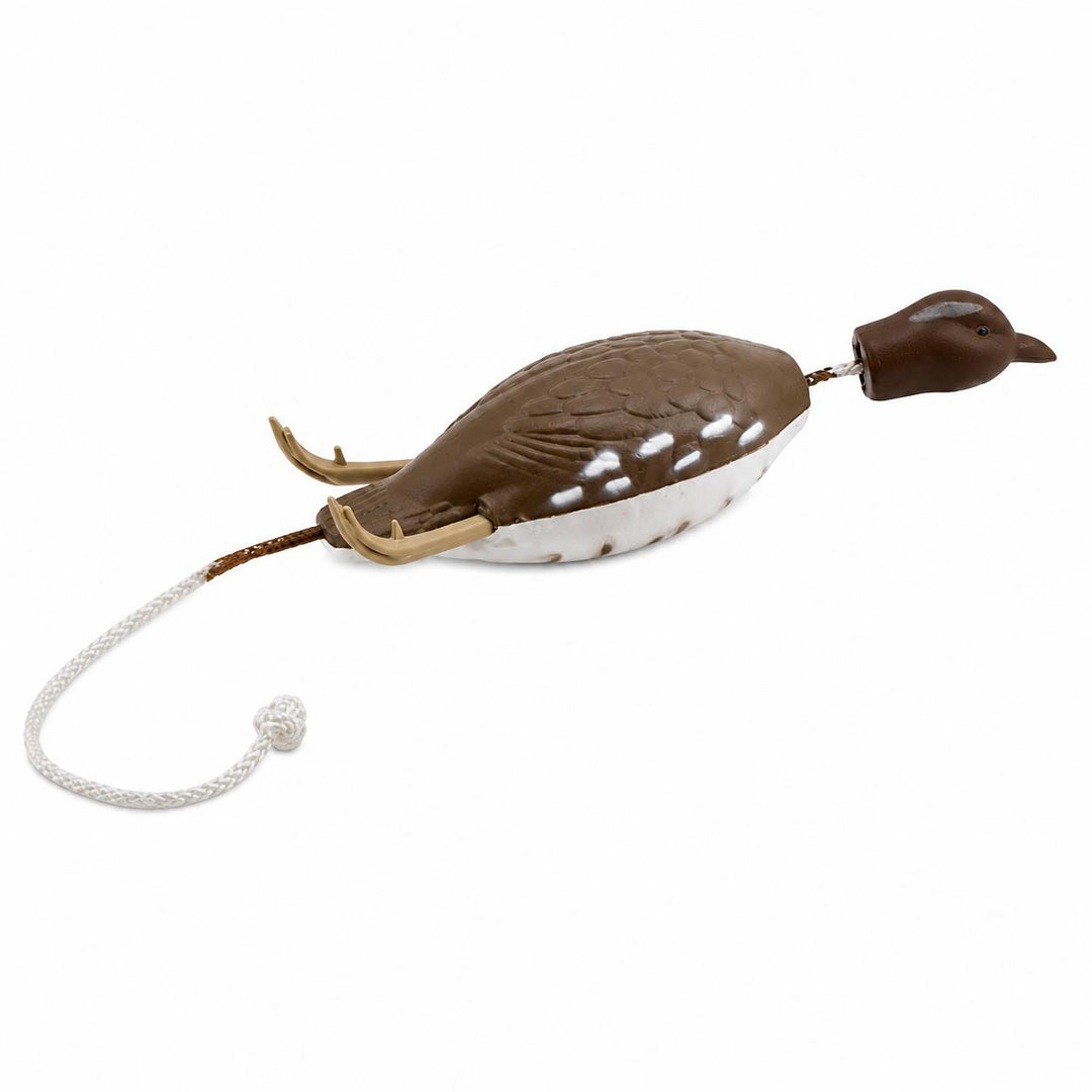 Dokken's DeadFowl Trainer - Bob-White Quail-Pet Supply-Kevin's Fine Outdoor Gear & Apparel