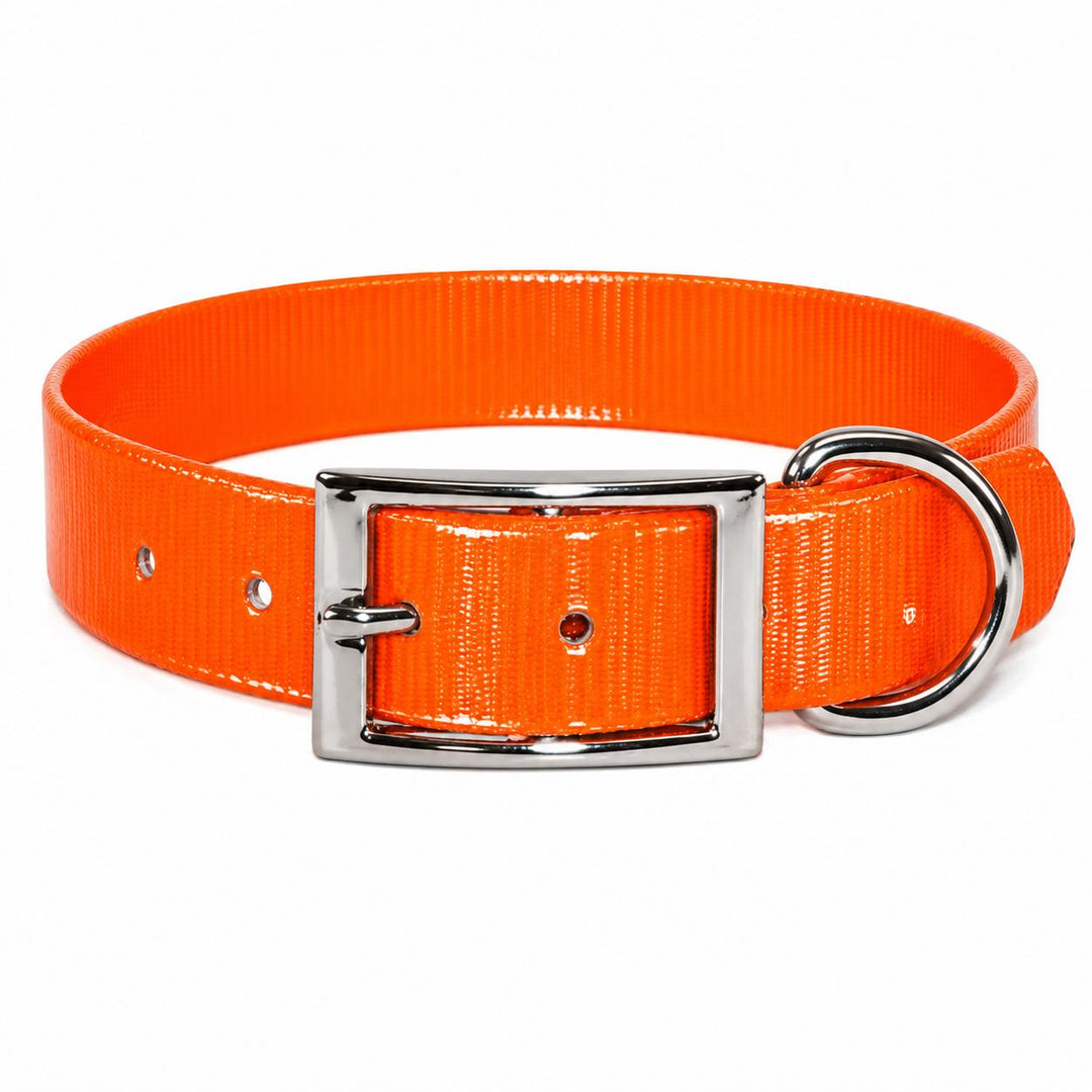 Sunglo Dog Collar - 1"-Pet Supply-Orange-19"-Kevin's Fine Outdoor Gear & Apparel