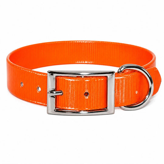 Sunglo Dog Collar - 1"-Pet Supply-Orange-19"-Kevin's Fine Outdoor Gear & Apparel