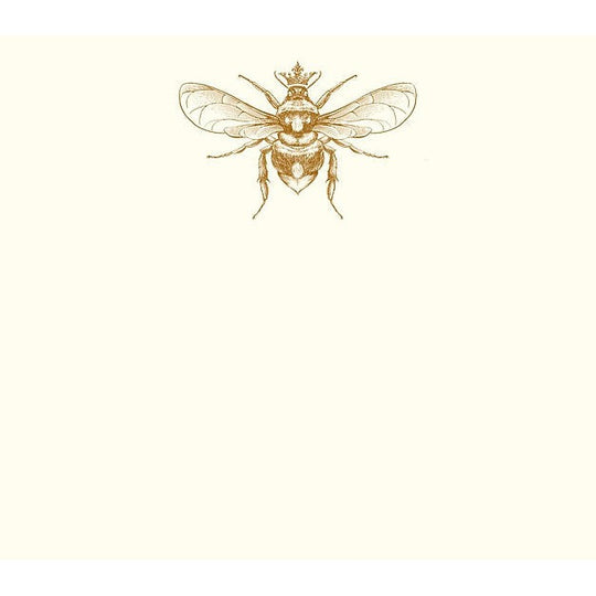 Alexa Pulitzer A2 Note Cards-Home/Giftware-Queen Bee-Kevin's Fine Outdoor Gear & Apparel