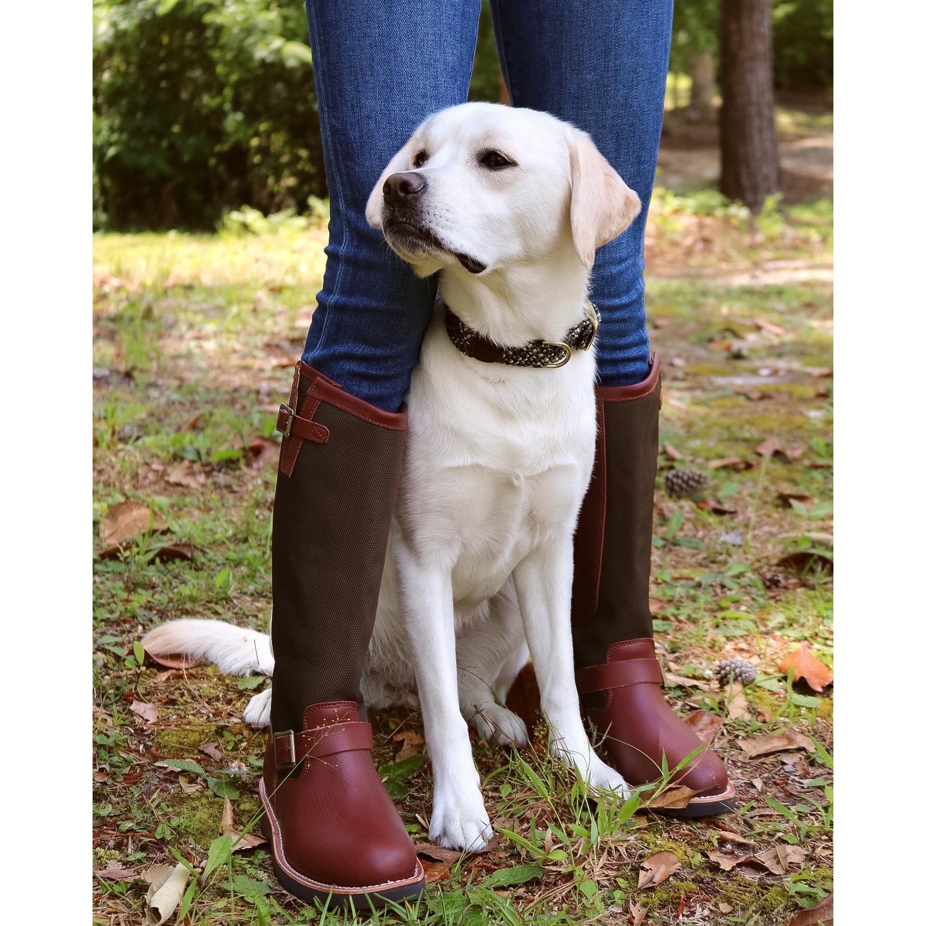 Chippewa Ladies Snake Boots