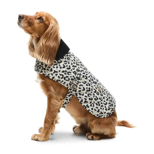 Barbour Harley Quilted Dog Coat-Pet Supply-Kevin's Fine Outdoor Gear & Apparel