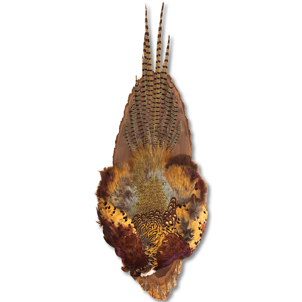 Pheasant Cape w/ Tailfan Oval Medium Board-Home/Giftware-Kevin's Fine Outdoor Gear & Apparel