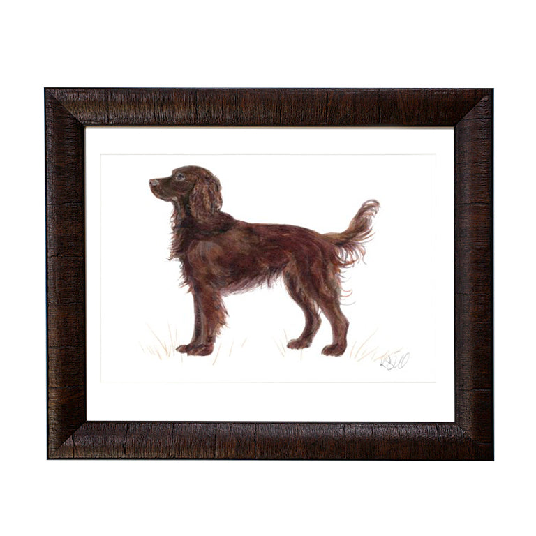 Framed Sporting Prints-Home/Giftware-Boykin Spaniel-Kevin's Fine Outdoor Gear & Apparel