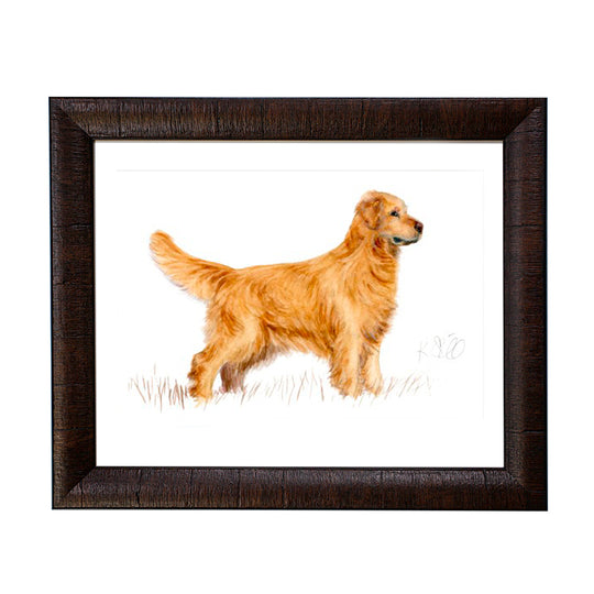 Framed Sporting Prints-Home/Giftware-Golden Retriever-Kevin's Fine Outdoor Gear & Apparel