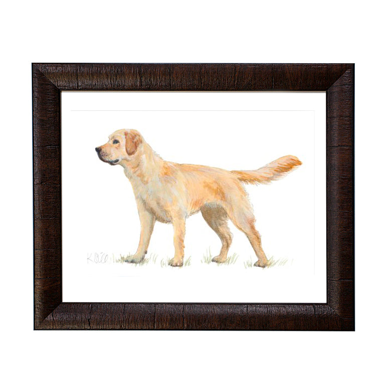 Framed Sporting Prints-Home/Giftware-Yellow Lab-Kevin's Fine Outdoor Gear & Apparel