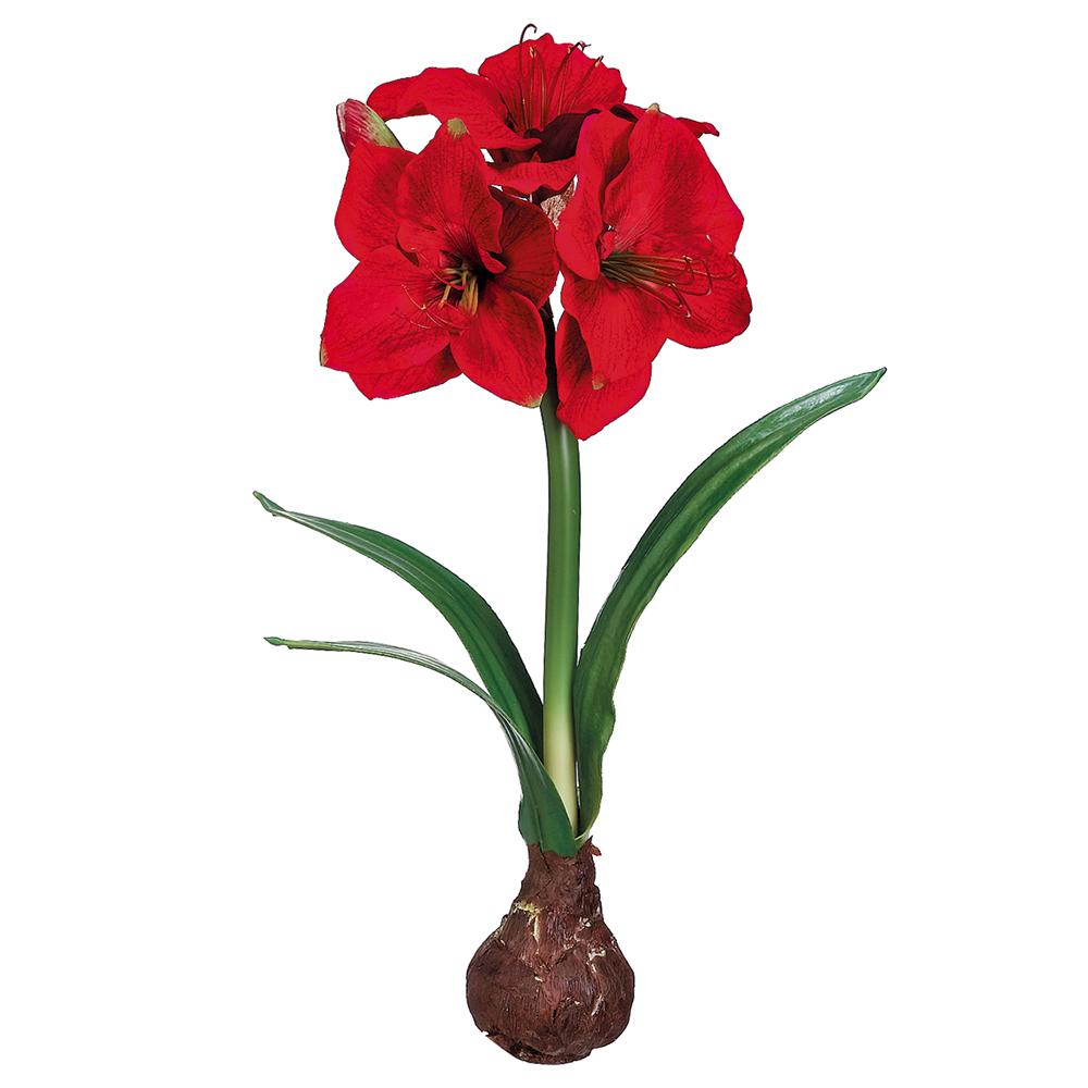 21" Standing Amaryllis with Bulb-Home/Giftware-Kevin's Fine Outdoor Gear & Apparel