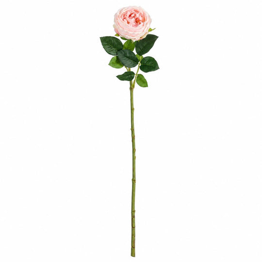 24" Real Touch Austin Rose Stem-Home/Giftware-Kevin's Fine Outdoor Gear & Apparel