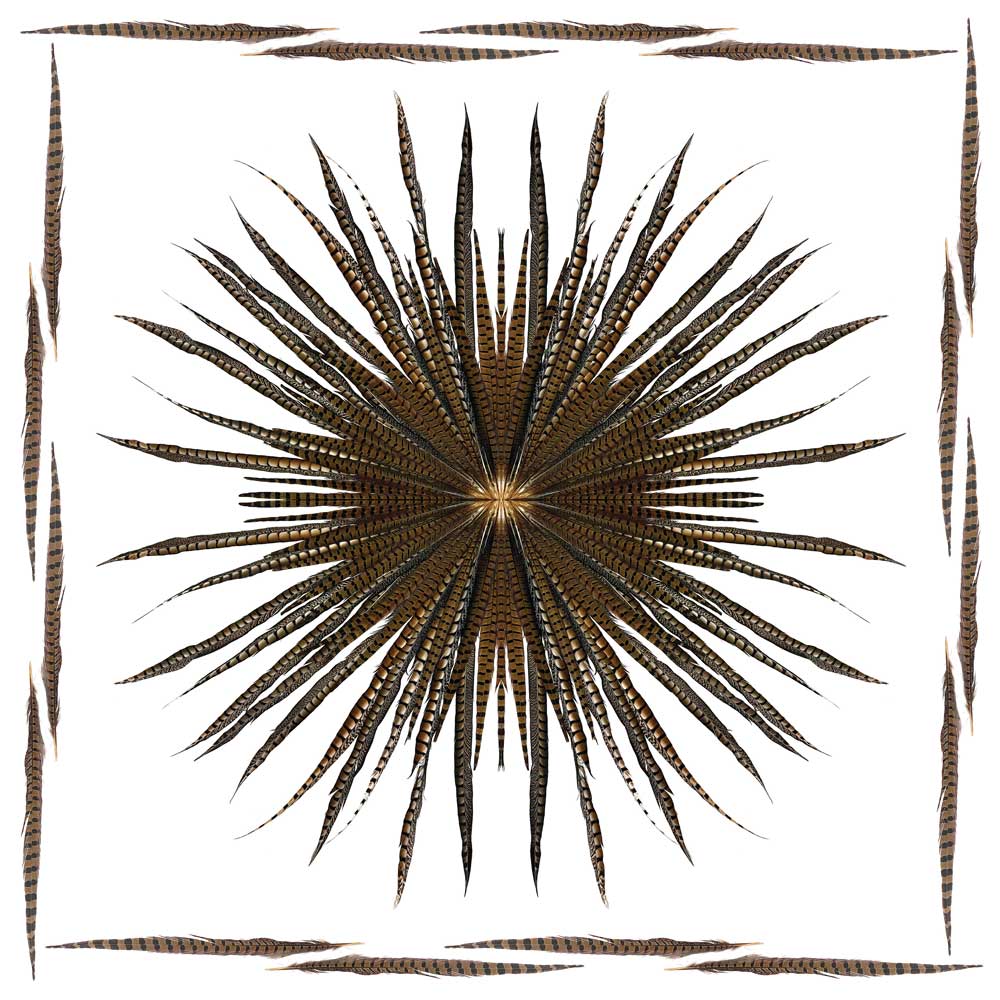 Kevin Feather Pattern Kevin's Custom Designed Feather Pattern Tablecloth | Kevin's Catalog ...