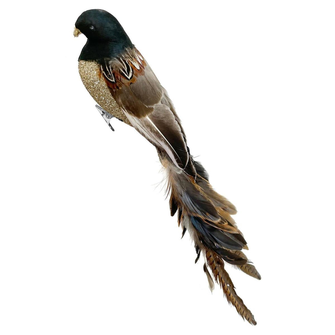 Glass Feather Bird with Glitter Body Ornament-Home/Giftware-Kevin's Fine Outdoor Gear & Apparel
