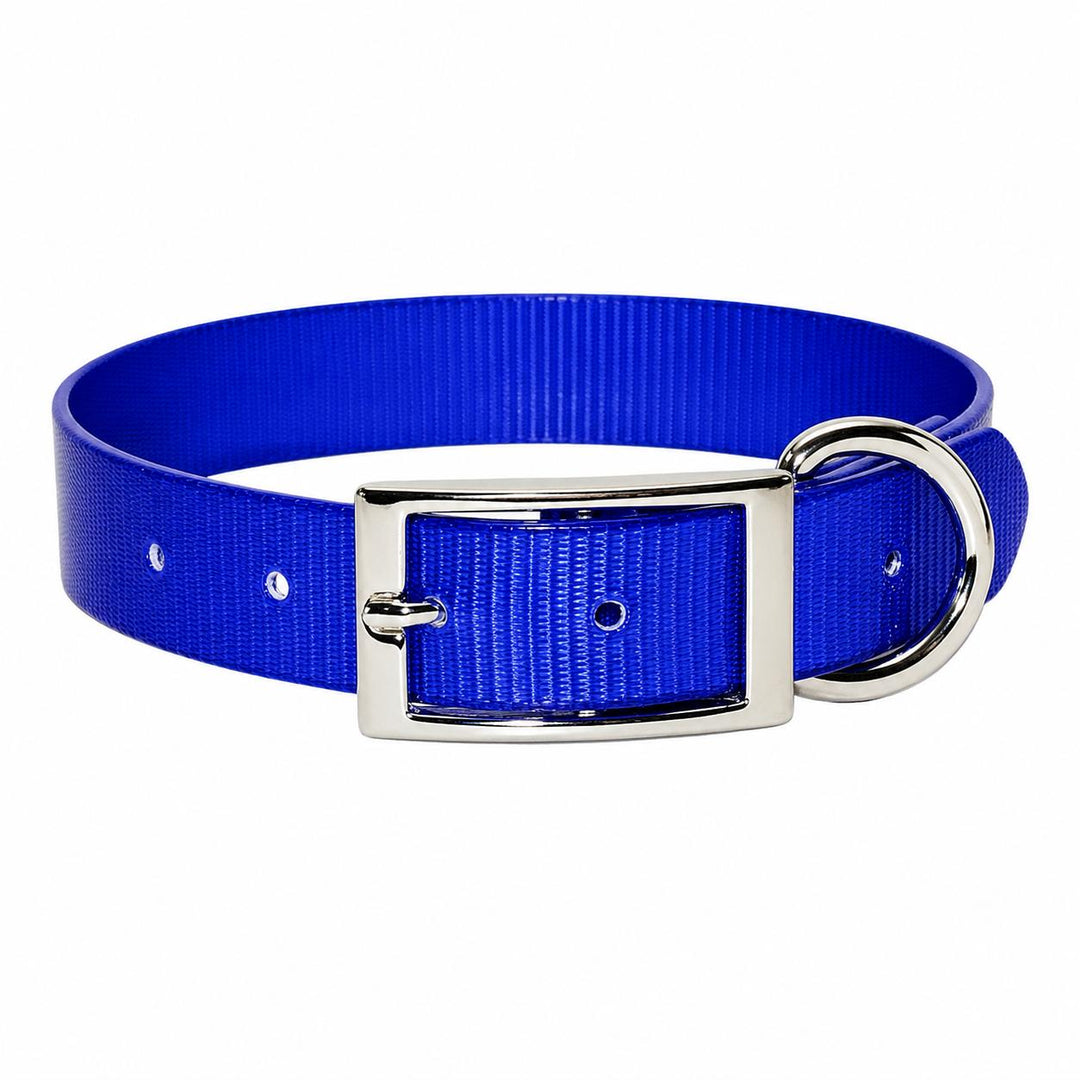 Sunglo Dog Collar - 1"-Pet Supply-Blue-19"-Kevin's Fine Outdoor Gear & Apparel