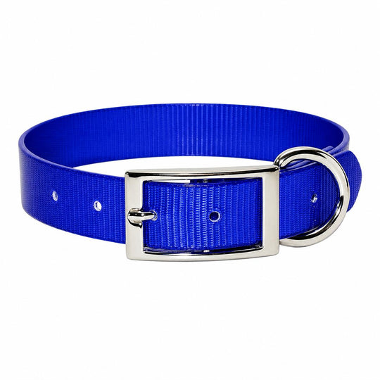 Sunglo Dog Collar - 1"-Pet Supply-Blue-19"-Kevin's Fine Outdoor Gear & Apparel