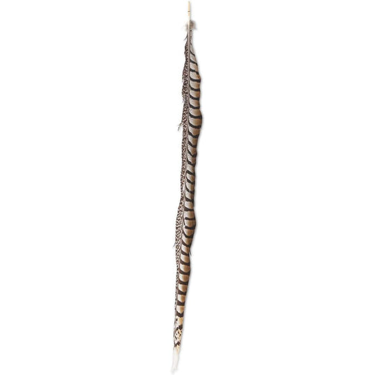 Long Lady Amethyst pheasant feather with brown and black striped patterns, measuring 25 to 30 inches in length.