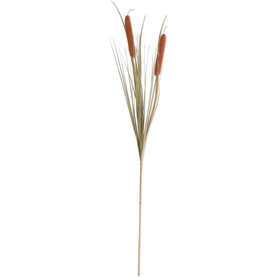 42" Double Cattail Stem-Home/Giftware-Light Brown-Kevin's Fine Outdoor Gear & Apparel
