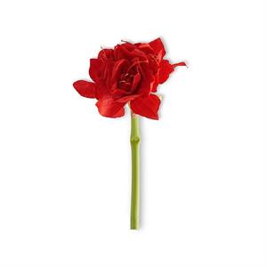 16" Red Amaryllis Stem-Home/Giftware-Kevin's Fine Outdoor Gear & Apparel