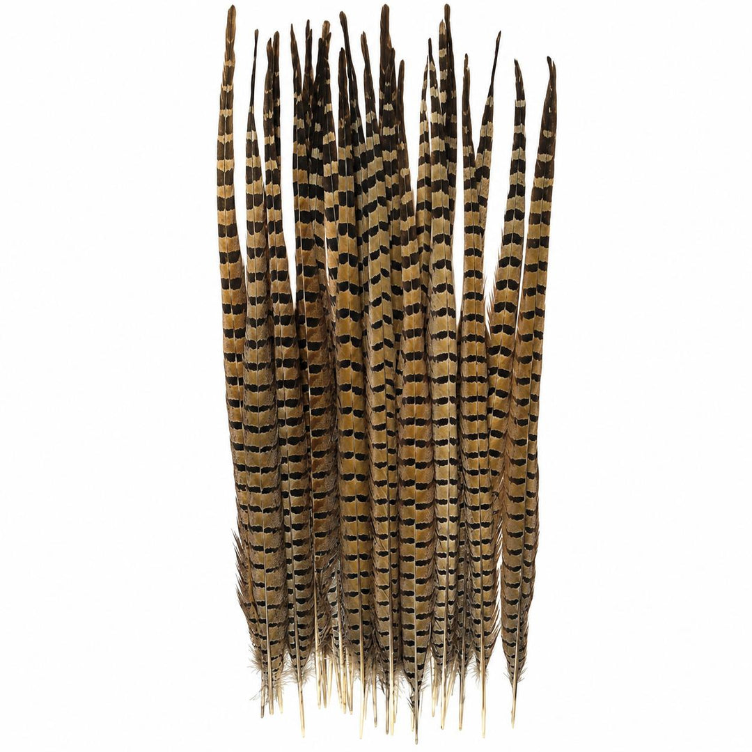 Farm Raised Pheasant Feathers-Home/Giftware-S-Kevin's Fine Outdoor Gear & Apparel